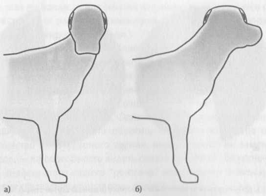 Иллюстрация к книге — Революция в зрении. Что, как и почему мы видим на самом деле [img_23.jpg]