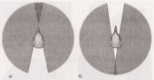 Иллюстрация к книге — Революция в зрении. Что, как и почему мы видим на самом деле [img_24.jpg]