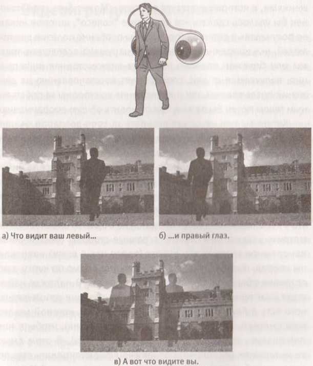 Иллюстрация к книге — Революция в зрении. Что, как и почему мы видим на самом деле [img_28.jpg]