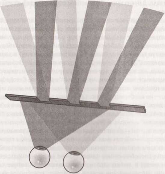 Иллюстрация к книге — Революция в зрении. Что, как и почему мы видим на самом деле [img_34.jpg]