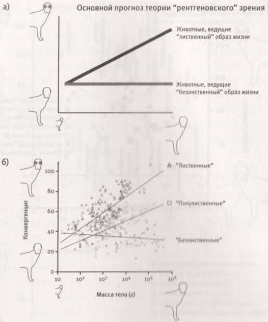 Иллюстрация к книге — Революция в зрении. Что, как и почему мы видим на самом деле [img_38.jpg]