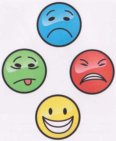 Иллюстрация к книге — Революция в зрении. Что, как и почему мы видим на самом деле [img_4.jpg]