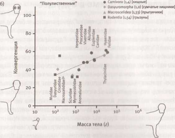 Иллюстрация к книге — Революция в зрении. Что, как и почему мы видим на самом деле [img_40.jpg]