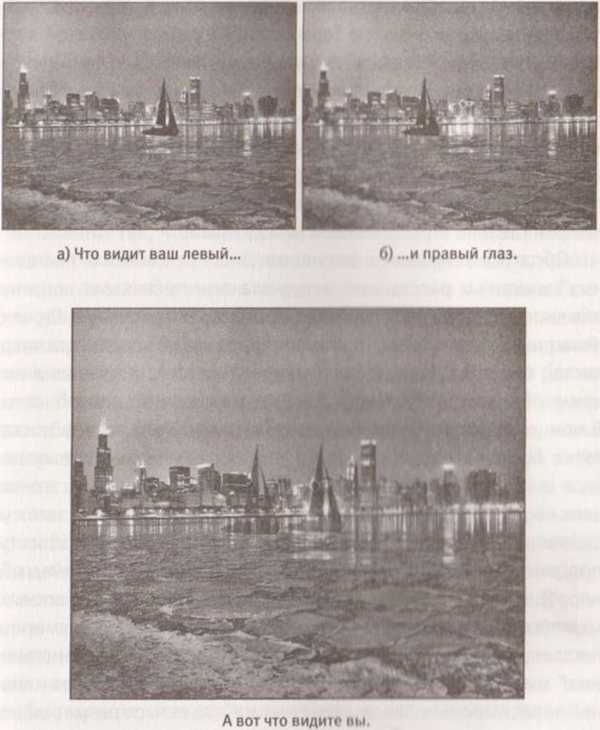 Иллюстрация к книге — Революция в зрении. Что, как и почему мы видим на самом деле [img_43.jpg]