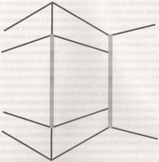 Иллюстрация к книге — Революция в зрении. Что, как и почему мы видим на самом деле [img_55.jpg]