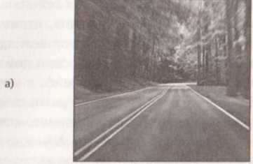 Иллюстрация к книге — Революция в зрении. Что, как и почему мы видим на самом деле [img_58.jpg]