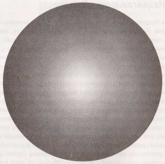 Иллюстрация к книге — Революция в зрении. Что, как и почему мы видим на самом деле [img_61.jpg]