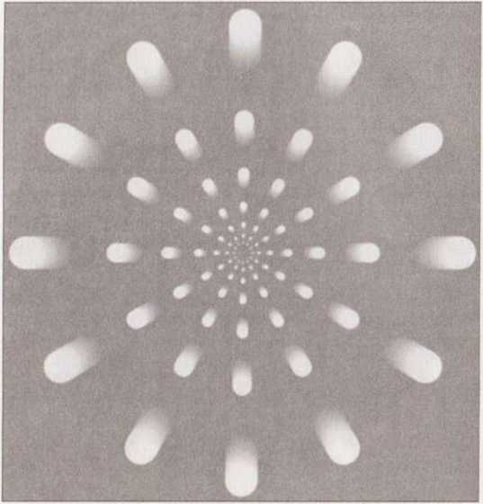 Иллюстрация к книге — Революция в зрении. Что, как и почему мы видим на самом деле [img_63.jpg]