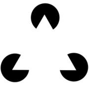 Иллюстрация к книге — Эволюция. Триумф идеи [i_001.jpg]