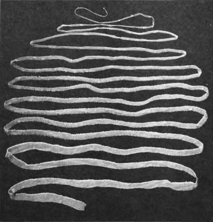 Иллюстрация к книге — Паразит - царь природы. Тайный мир самых опасных существ на Земле [imgbbc3.jpg]