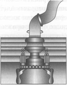 Иллюстрация к книге — Микрокосм. E. coli и новая наука о жизни [img_3.jpg]