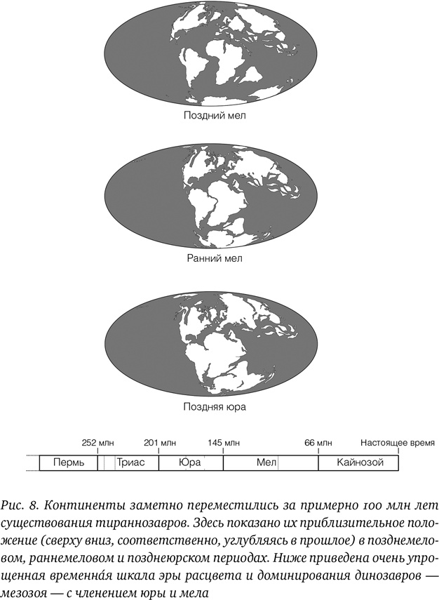 Иллюстрация к книге — Хроники тираннозавра. Биология и эволюция самого известного хищника в мире [i_016.jpg]