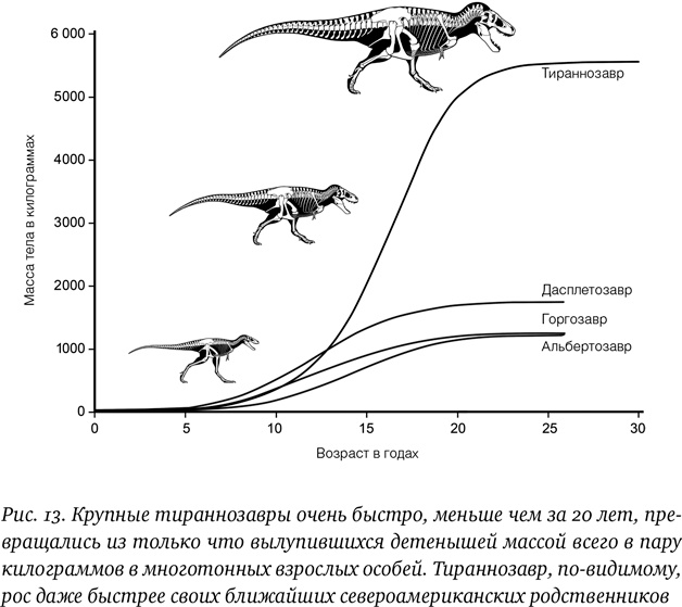 Иллюстрация к книге — Хроники тираннозавра. Биология и эволюция самого известного хищника в мире [i_024.jpg]