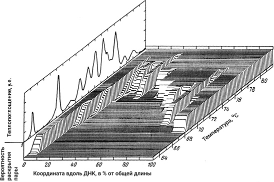 Иллюстрация к книге — Самая главная молекула. От структуры ДНК к биомедицине XXI века [_15.jpg]