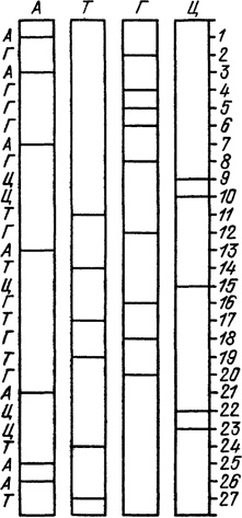 Иллюстрация к книге — Самая главная молекула. От структуры ДНК к биомедицине XXI века [_17.jpg]