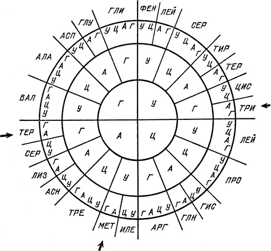 Иллюстрация к книге — Самая главная молекула. От структуры ДНК к биомедицине XXI века [_20.jpg]