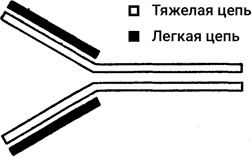 Иллюстрация к книге — Самая главная молекула. От структуры ДНК к биомедицине XXI века [_26.jpg]