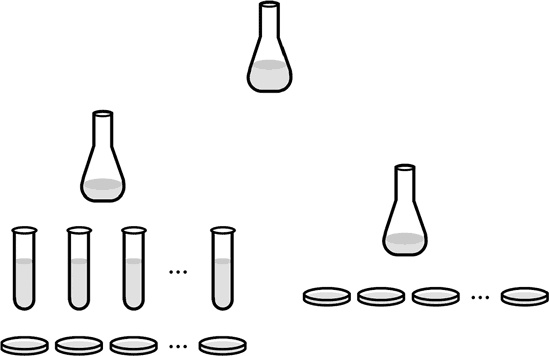 Иллюстрация к книге — Самая главная молекула. От структуры ДНК к биомедицине XXI века [_27.jpg]