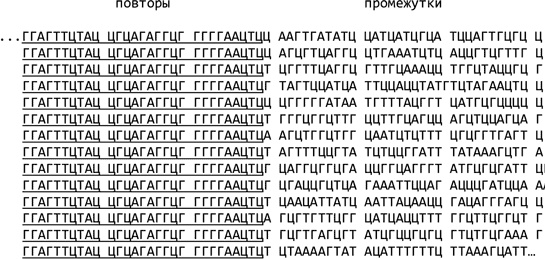 Иллюстрация к книге — Самая главная молекула. От структуры ДНК к биомедицине XXI века [_28.jpg]