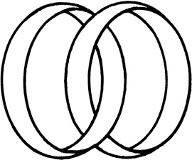 Иллюстрация к книге — Самая главная молекула. От структуры ДНК к биомедицине XXI века [_31.jpg]