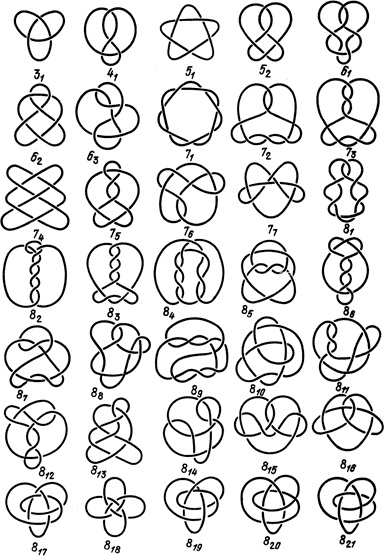 Иллюстрация к книге — Самая главная молекула. От структуры ДНК к биомедицине XXI века [_56.jpg]