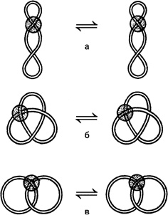 Иллюстрация к книге — Самая главная молекула. От структуры ДНК к биомедицине XXI века [_62.jpg]