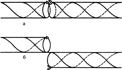 Иллюстрация к книге — Самая главная молекула. От структуры ДНК к биомедицине XXI века [_64.jpg]