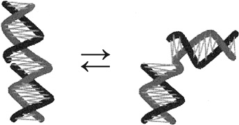 Иллюстрация к книге — Самая главная молекула. От структуры ДНК к биомедицине XXI века [_65.jpg]