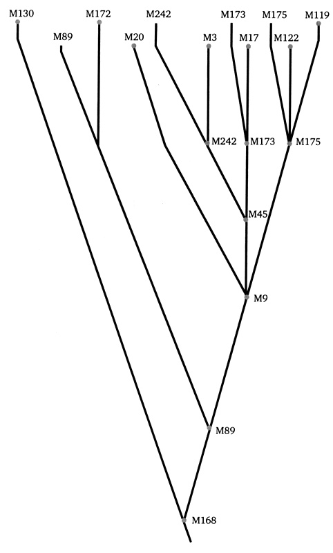Иллюстрация к книге — Генетическая одиссея человека [i_012.jpg]