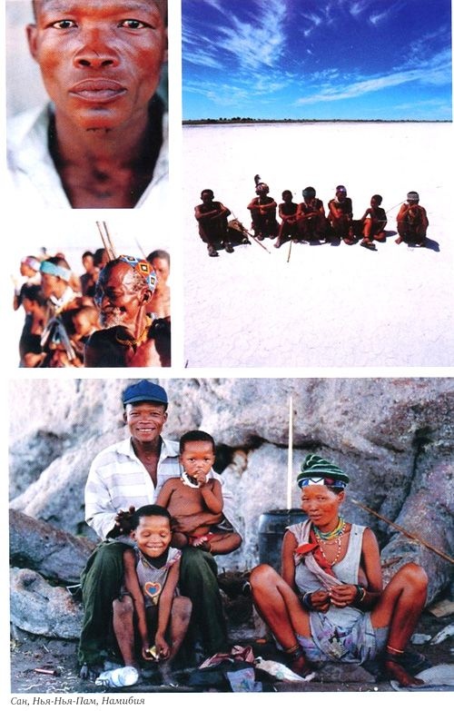 Иллюстрация к книге — Генетическая одиссея человека [i_014.jpg]