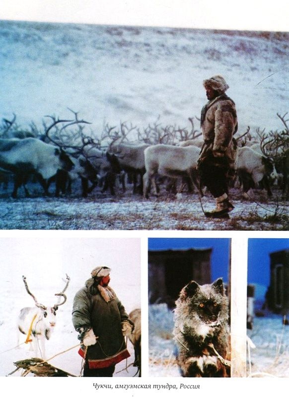 Иллюстрация к книге — Генетическая одиссея человека [i_023.jpg]