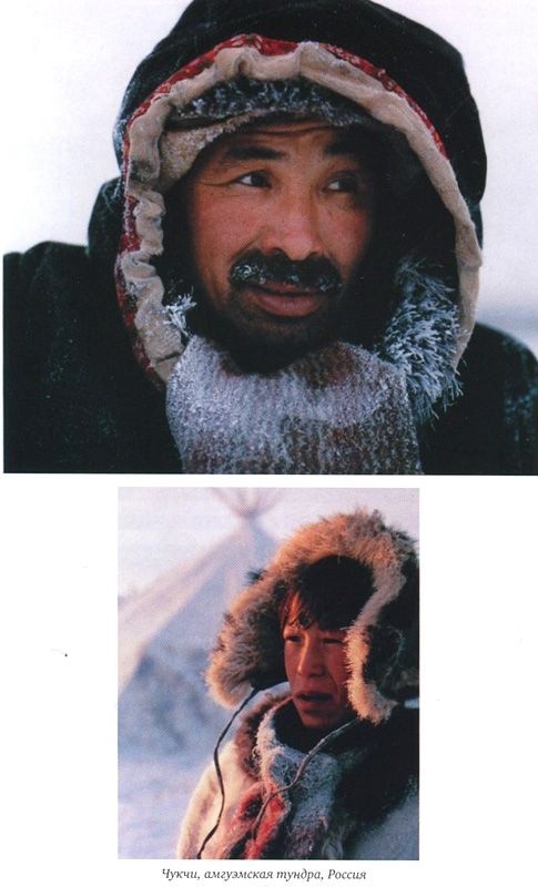 Иллюстрация к книге — Генетическая одиссея человека [i_024.jpg]