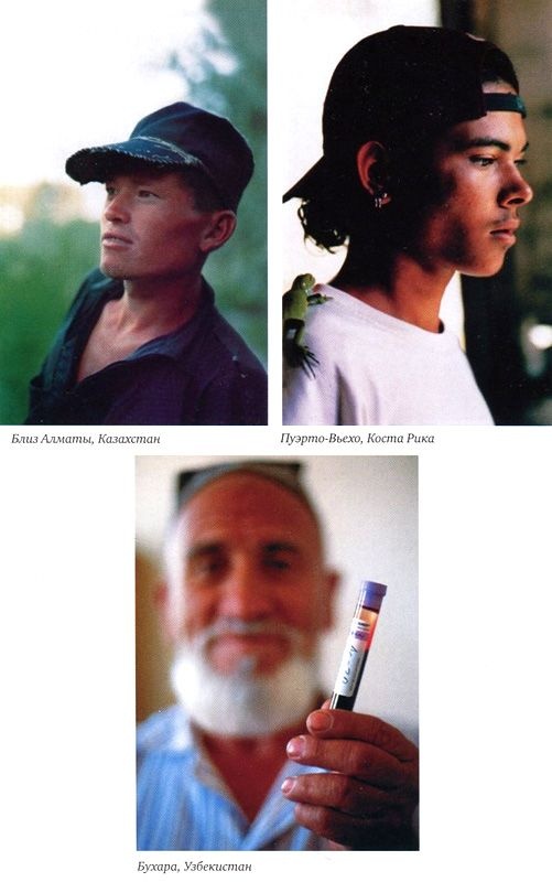 Иллюстрация к книге — Генетическая одиссея человека [i_028.jpg]