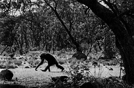 Иллюстрация к книге — Хозяева Земли. Социальное завоевание планеты человечеством [i_003.jpg]