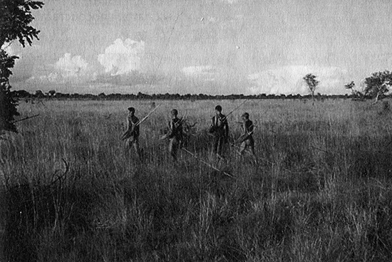 Иллюстрация к книге — Хозяева Земли. Социальное завоевание планеты человечеством [i_007.jpg]