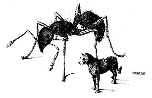 Иллюстрация к книге — Хозяева Земли. Социальное завоевание планеты человечеством [i_024.jpg]