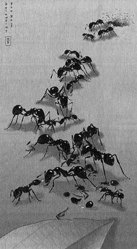 Иллюстрация к книге — Хозяева Земли. Социальное завоевание планеты человечеством [i_026.jpg]