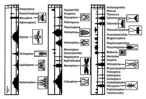 Иллюстрация к книге — Хозяева Земли. Социальное завоевание планеты человечеством [i_034.jpg]