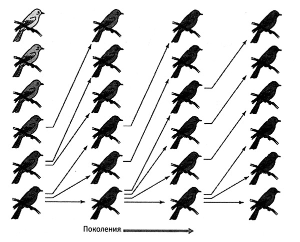 Иллюстрация к книге — Хозяева Земли. Социальное завоевание планеты человечеством [i_039.jpg]
