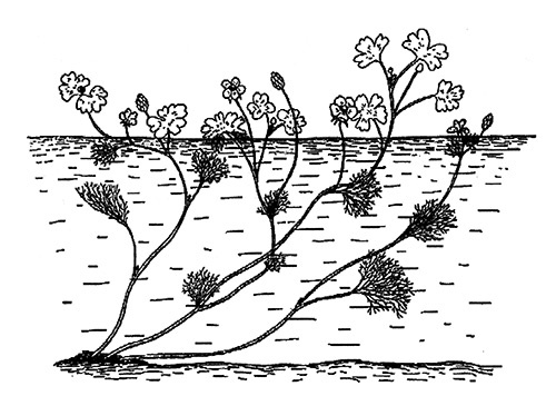 Иллюстрация к книге — Хозяева Земли. Социальное завоевание планеты человечеством [i_040.jpg]