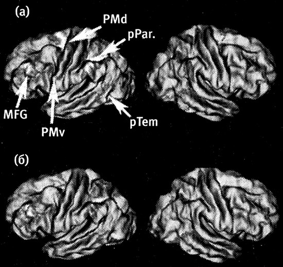 Иллюстрация к книге — Хозяева Земли. Социальное завоевание планеты человечеством [i_047.jpg]