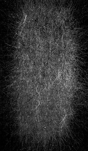 Иллюстрация к книге — Хозяева Земли. Социальное завоевание планеты человечеством [i_048.jpg]