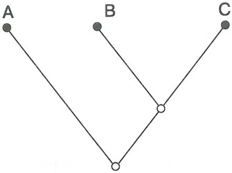 Иллюстрация к книге — Скелеты в шкафу. Драматичная эволюция человека [i_018.jpg]