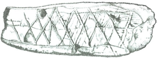 Иллюстрация к книге — Скелеты в шкафу. Драматичная эволюция человека [i_035.jpg]