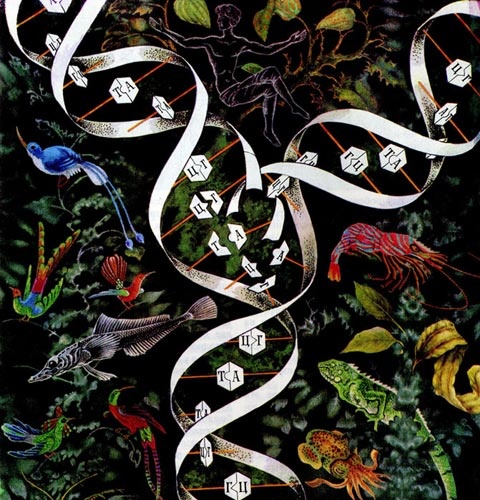 Иллюстрация к книге — Геном человека: Энциклопедия, написанная четырьмя буквами [i_007.jpg]