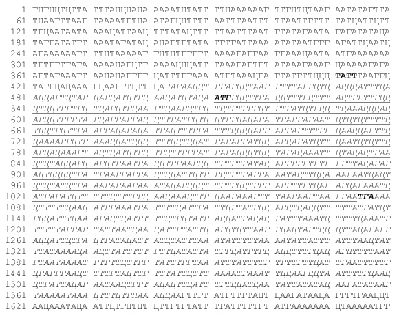 Иллюстрация к книге — Геном человека: Энциклопедия, написанная четырьмя буквами [i_022.jpg]