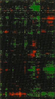 Иллюстрация к книге — Геном человека: Энциклопедия, написанная четырьмя буквами [i_038.jpg]