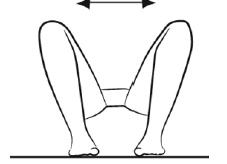 Иллюстрация к книге — Пора лечиться правильно. Медицинская энциклопедия [i_013.jpg]