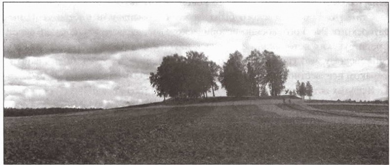 Иллюстрация к книге — От Аустерлица до Парижа. Дорогами поражений и побед [i_032.jpg]