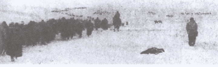 Иллюстрация к книге — Восточный фронт. Черкассы. Тернополь. Крым. Витебск. Бобруйск. Броды. Яссы. Кишинев. 1944 [i_018.jpg]